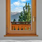 Campanule A Avec Vue Sur Les Alpes Anzère
