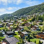 Campanule A Avec Vue Sur Les Alpes Anzère