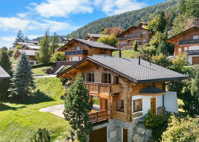 Campanule A Avec Vue Sur Les Alpes *