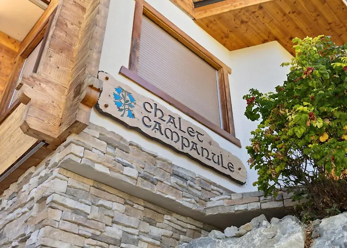 Campanule A Avec Vue Sur Les Alpes * アンゼール