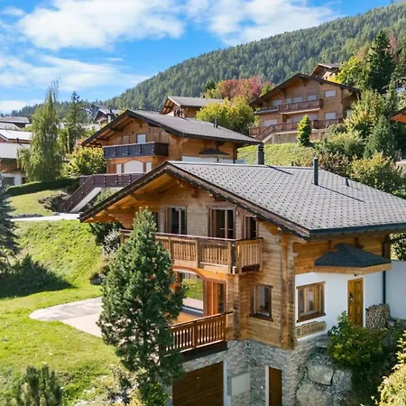 Campanule A Avec Vue Sur Les Alpes *