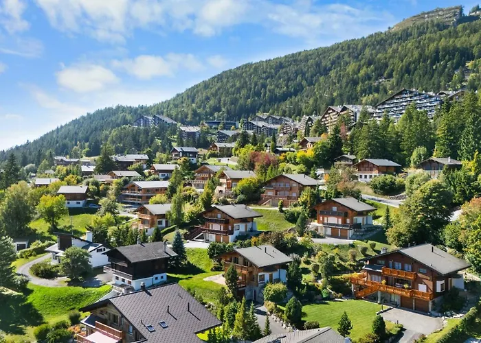 Campanule A Avec Vue Sur Les Alpes Анзер